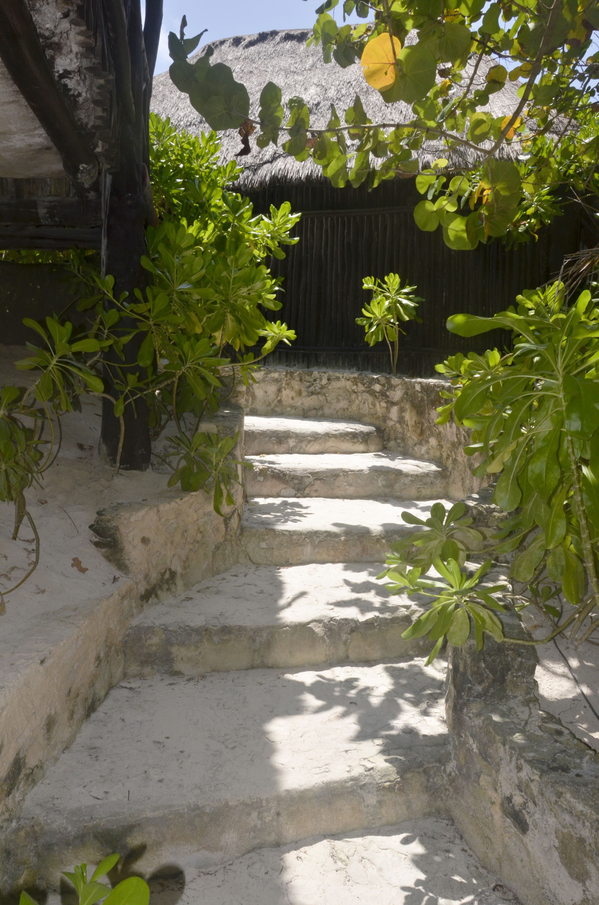 Photo - Hotel Pocna Tulum