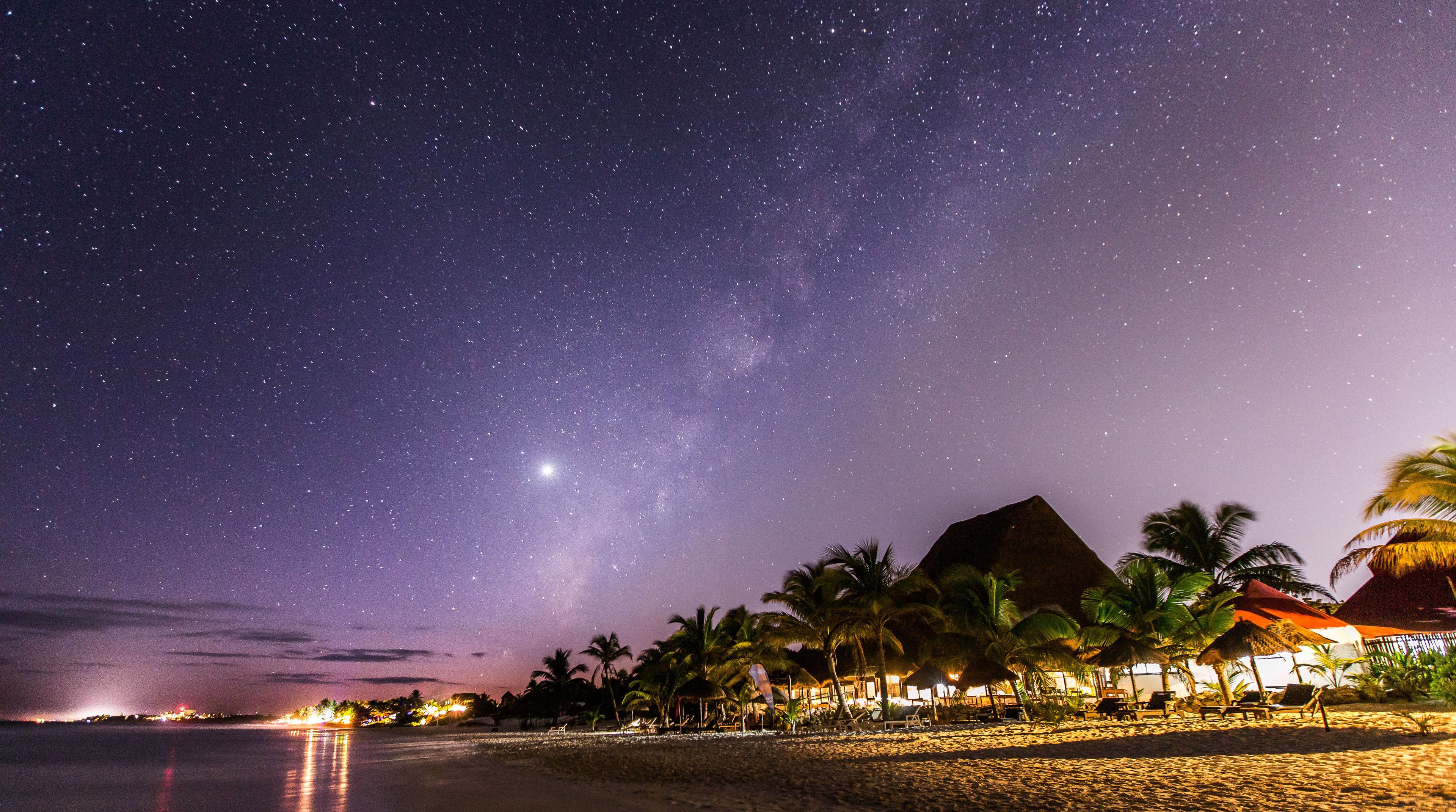 Une plage de nuit, sous un ciel étoilé, avec des palmiers et un bâtiment au toit de chaume.