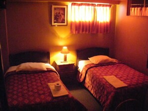 Twin Room | Individually decorated, desk, iron/ironing board, rollaway beds