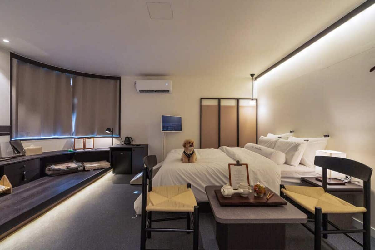 A modern hotel room with a bed, bedside tables, a desk, a chair, a small table with a teapot, and a dog.