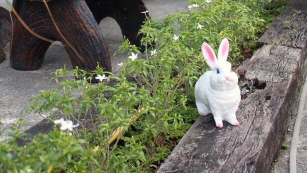 Outdoor seating with wooden benches and a decorative rabbit statue. - Cozy Rabbit Hotel (Thung Song)