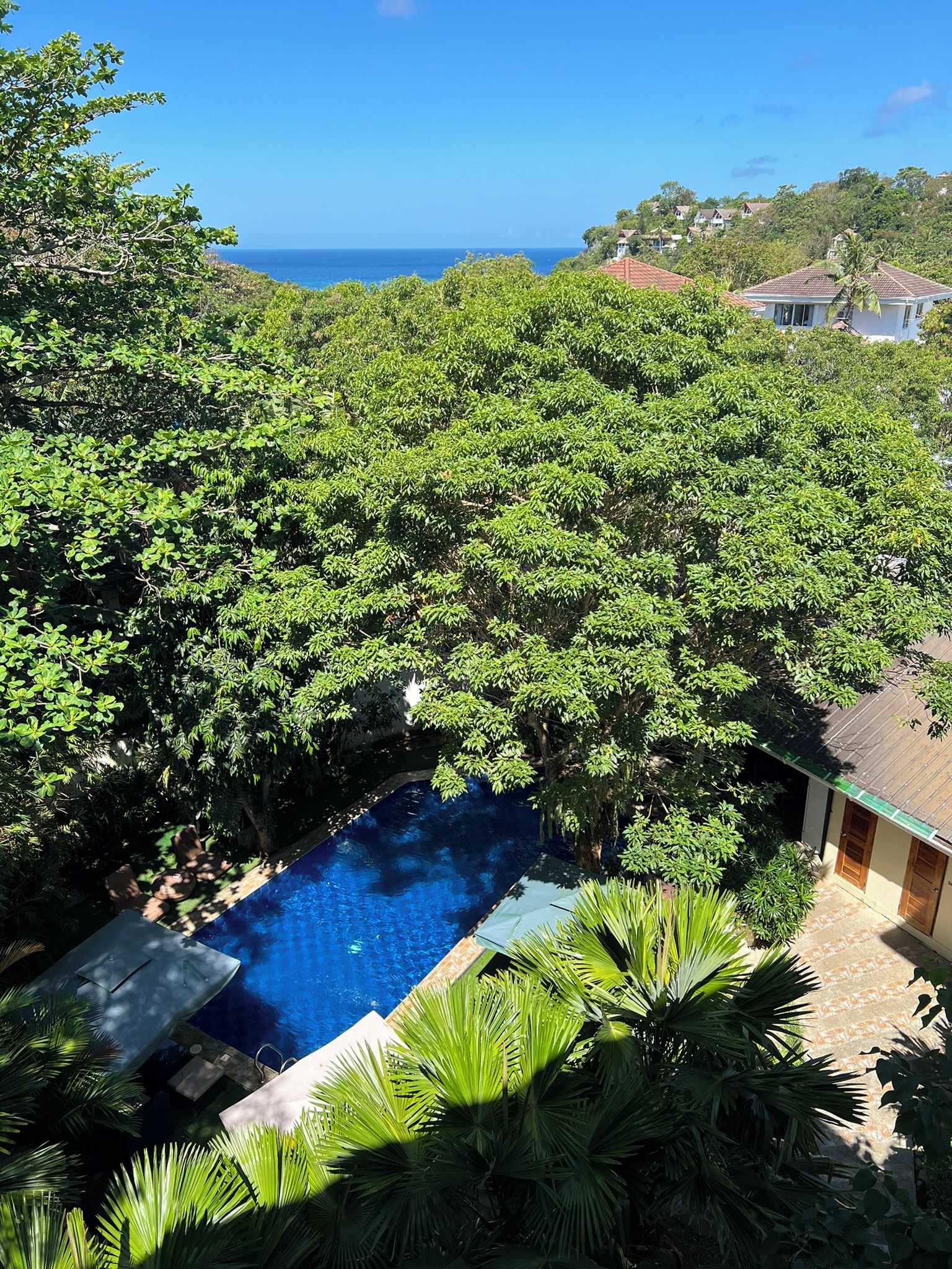Una piscina rodeada de abundante vegetación, con vista al océano y casas al fondo.