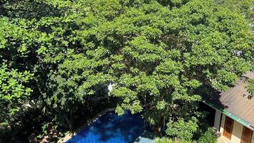 Una piscina rodeada de abundante vegetación, con vista al océano y casas al fondo.