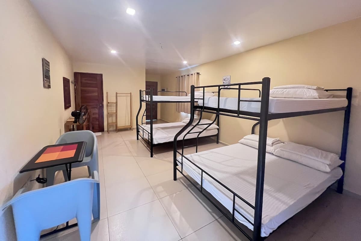 Une chambre de dortoir avec des lits superposés, un bureau et une chaise.
