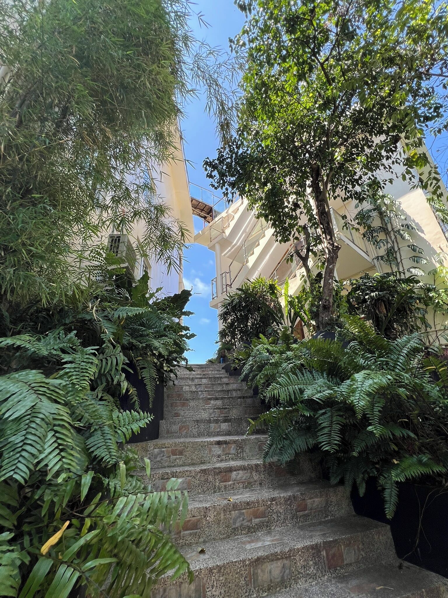 Una escalera rodeada de vegetación exuberante que lleva a un edificio bajo un cielo despejado.