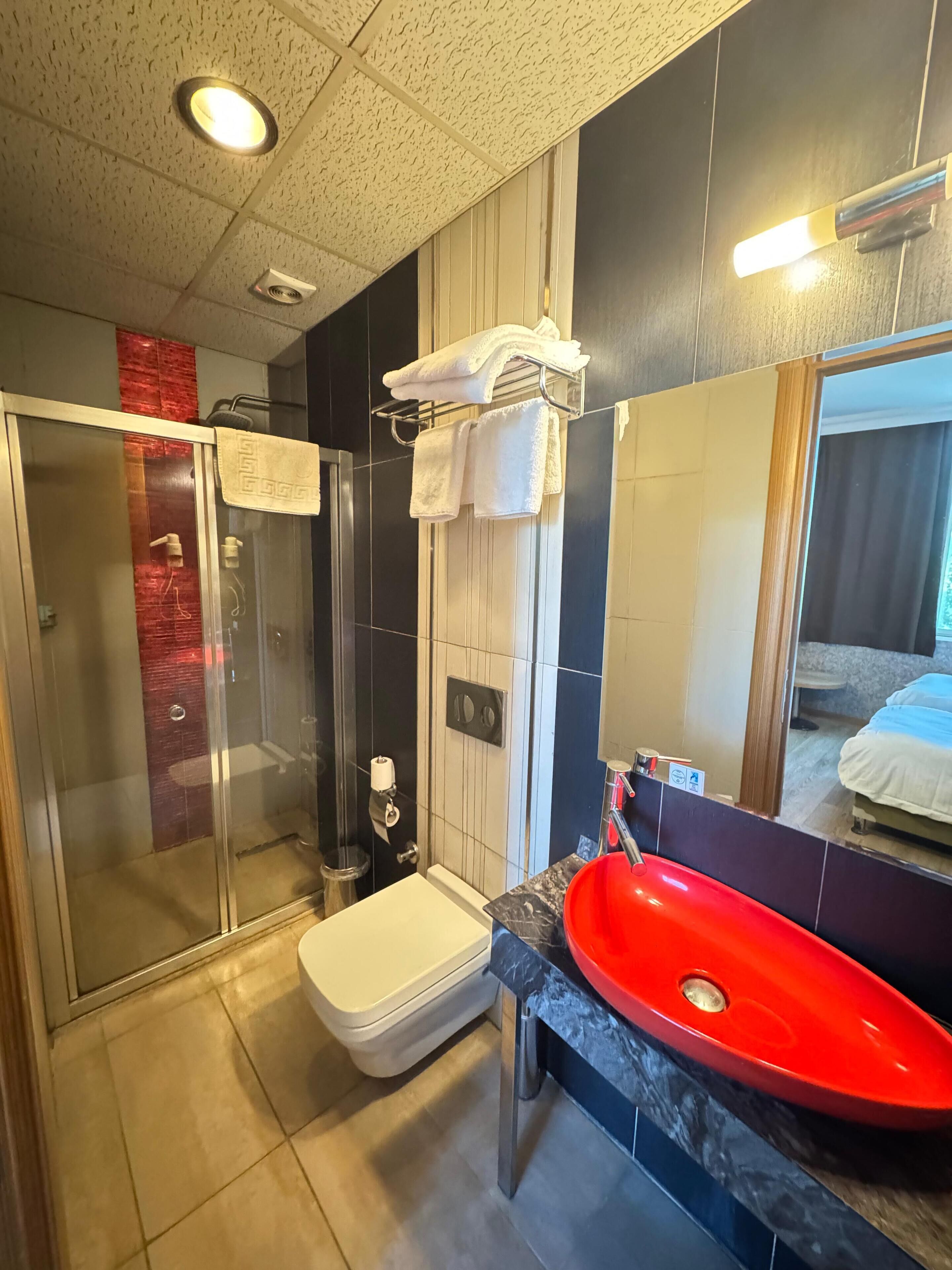 Deluxe Twin Room | Bathroom | Shower, free toiletries, hair dryer, slippers