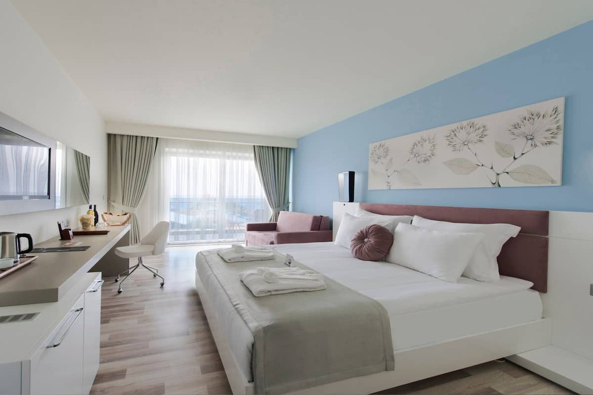 Minibar, in-room safe, desk, WiFi (free)