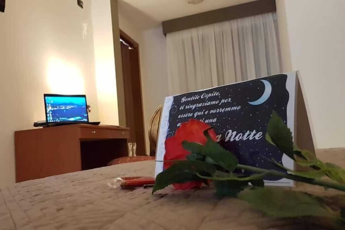 Habitación individual estándar | Ropa de cama de alta calidad y artículos del minibar gratis