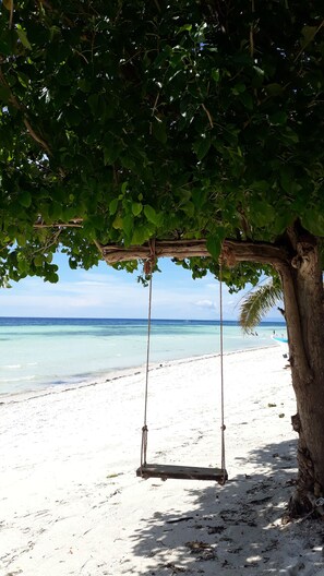 A beach with a swing under a tree, clear turquoise water, and a sandy shore. - Panglao Grande Resort (Panglao)