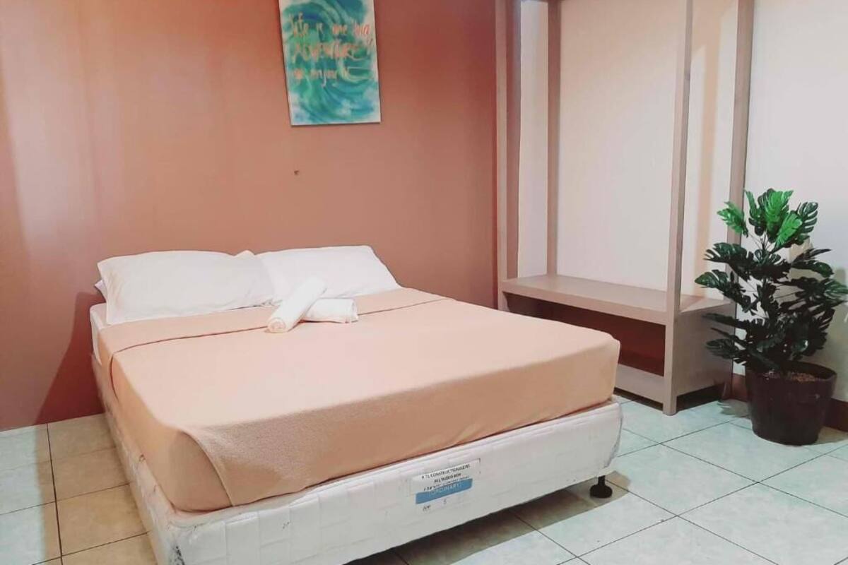 A single bed with a white mattress and a pink cover, a bedside table, a potted plant, and a wall-mounted artwork.