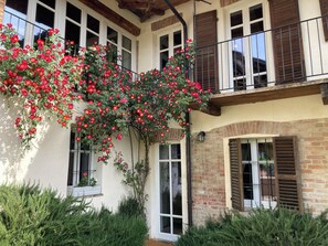 Suite Superior | Teras/patio