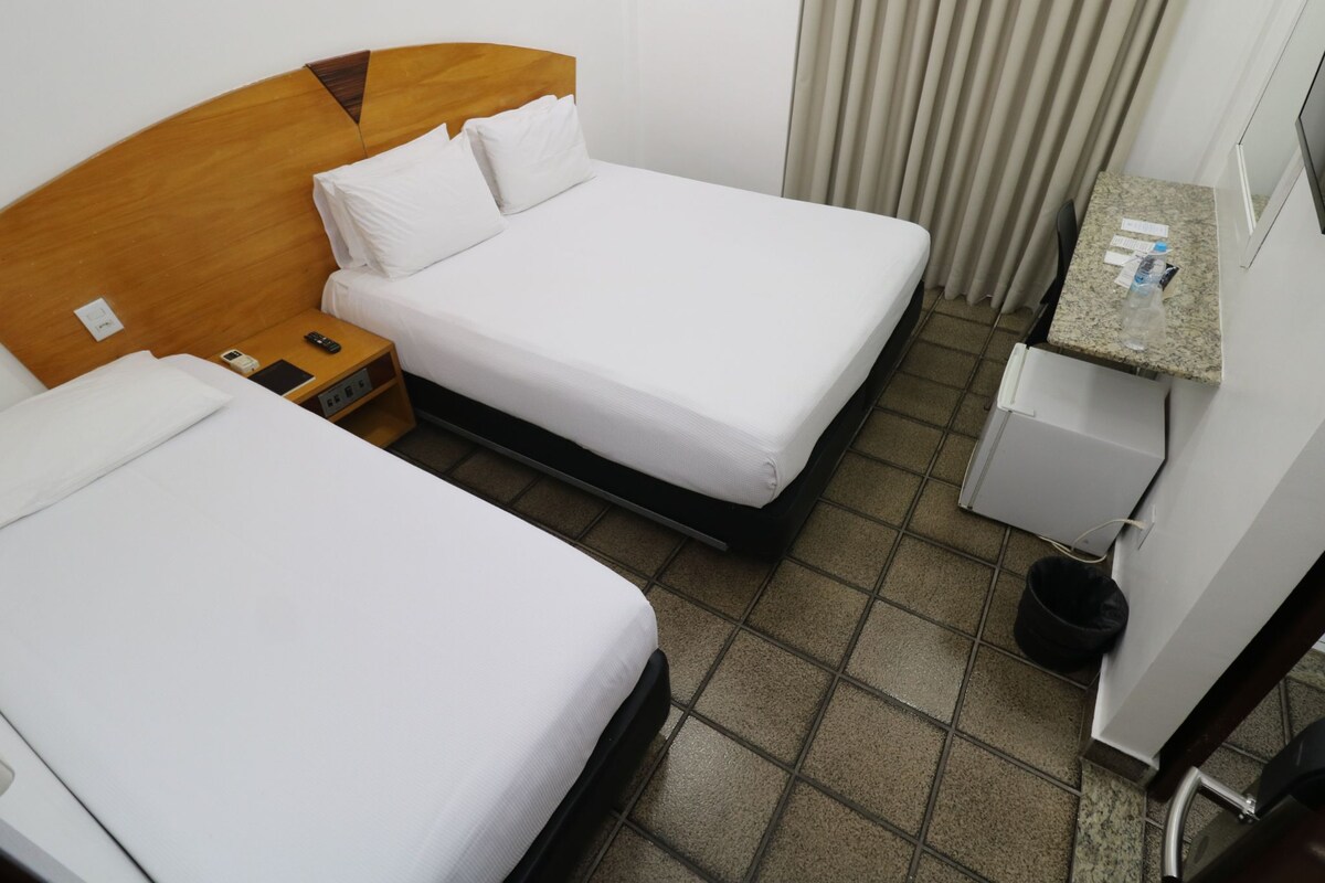 Habitación ejecutiva con 1 cama doble o 2 individuales | Minibar, escritorio, cortinas opacas y wifi gratis