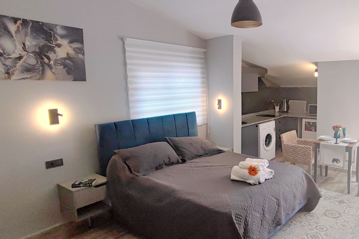 Loft, Terrace Suite | Kaliteli yatak takımı, odada kasa, masa, ses yalıtımı