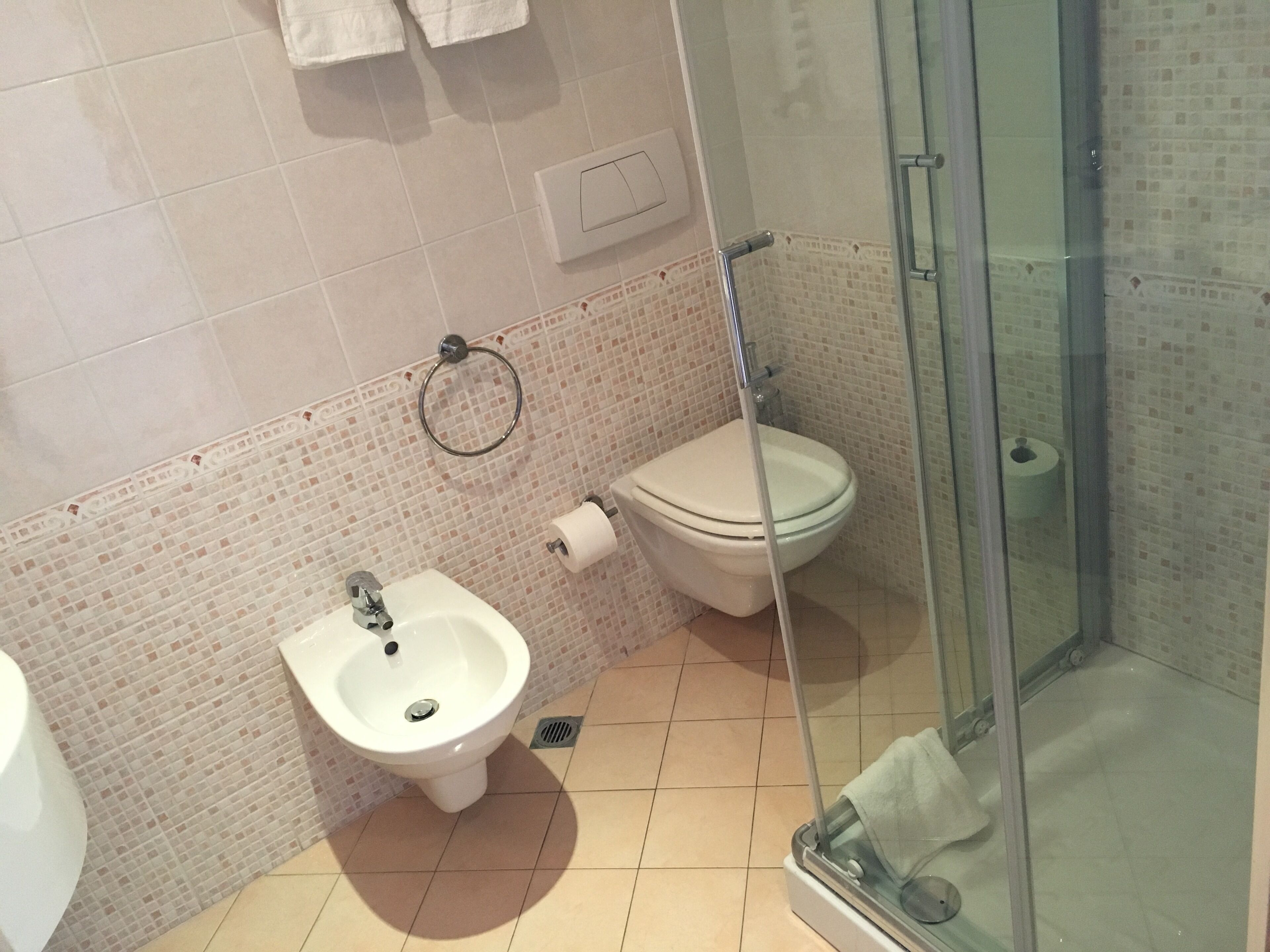 shower, free toiletries, bidet, towels