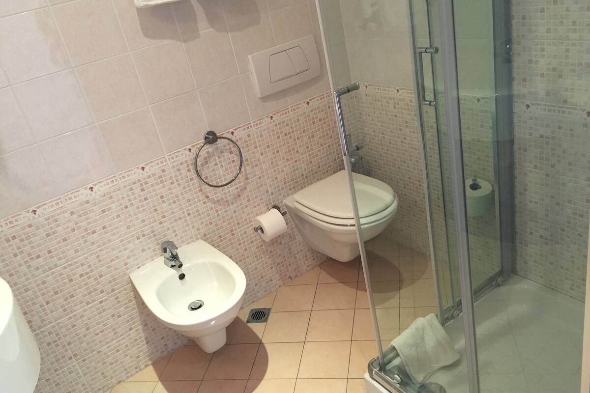 shower, free toiletries, bidet, towels