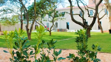 Jardín