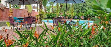 Piscine extérieure, chaises longues