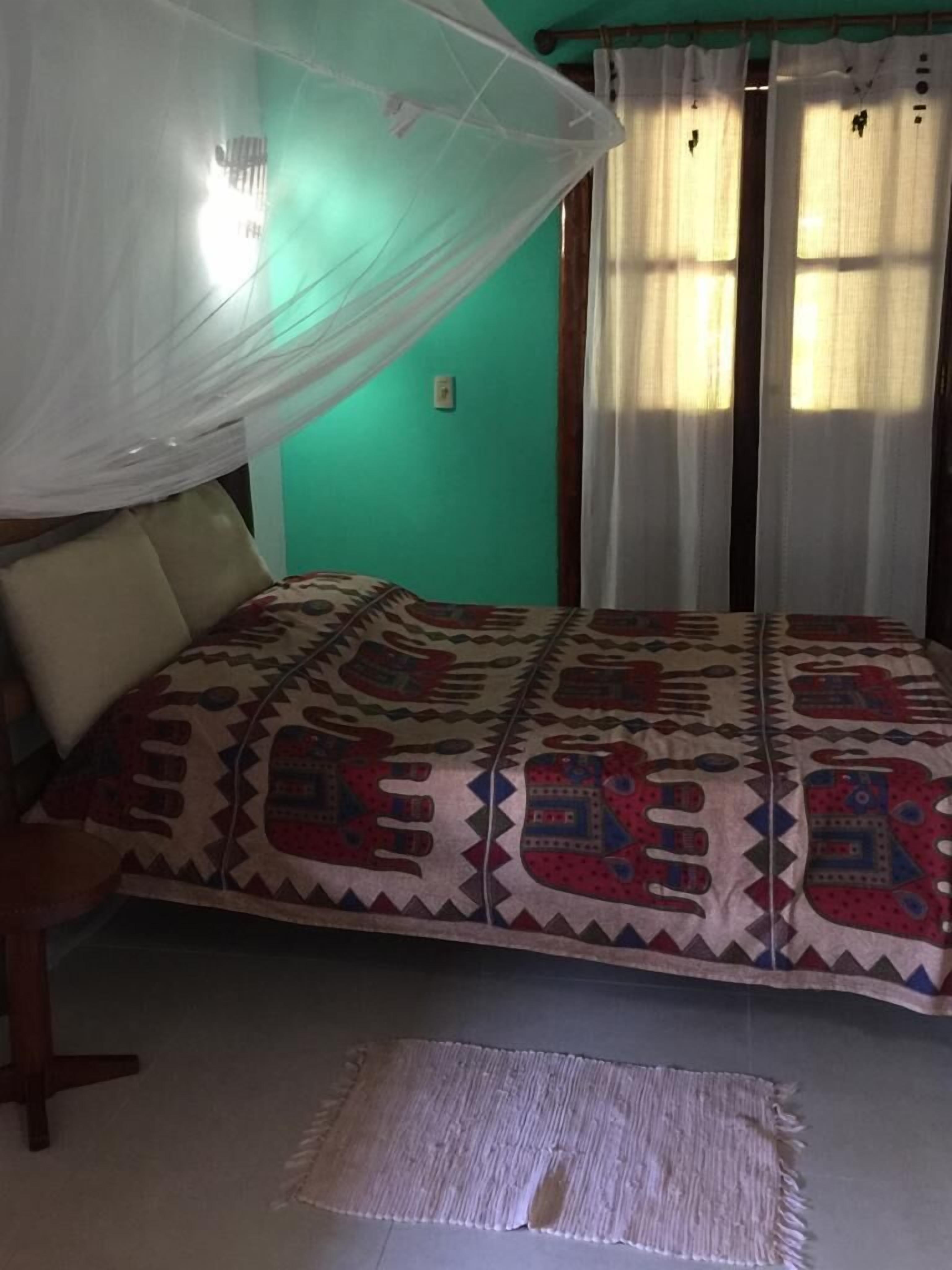 A room with a bed, a mosquito net, and a rug.