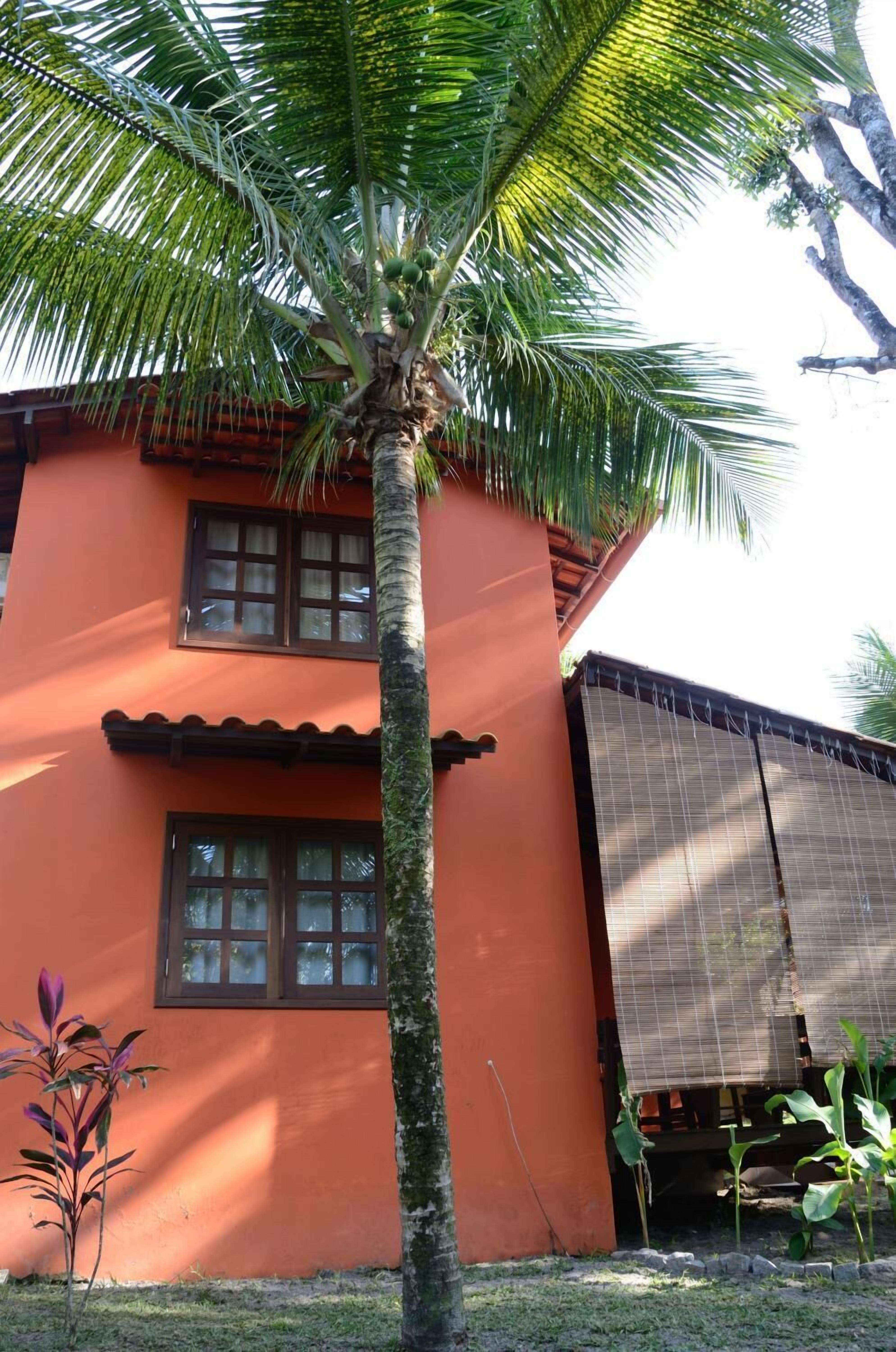 A two-story building with a palm tree in front.