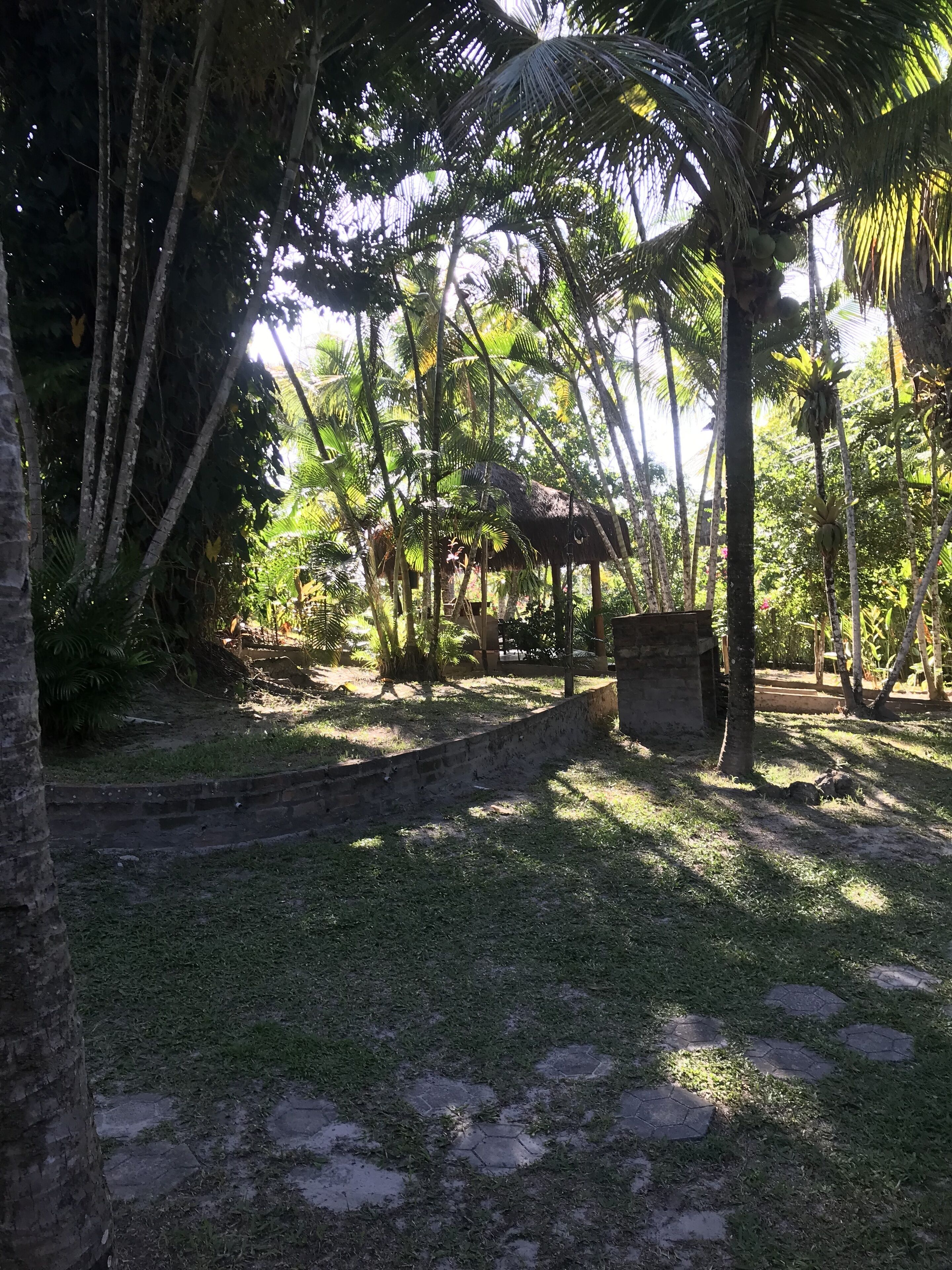 A tropical garden with a stone pathway, palm trees, and a thatched-roof structure.