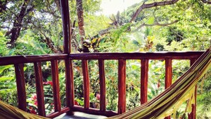 A hammock on a wooden deck surrounded by lush tropical vegetation. - Vila Sofia chalès (Cairu)