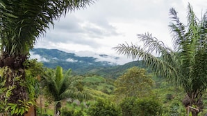 Un jardín exuberante con diversas plantas y flores, una estructura de madera y una vista de montañas lejanas bajo un cielo nublado.