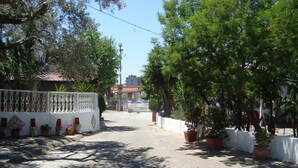 Une rue tranquille, bordée de plantes en pot et délimitée par une clôture blanche.