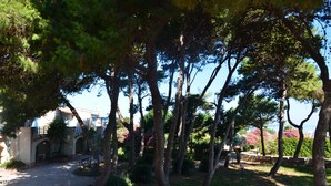 Un patio con árboles, un sendero y un edificio con arcos.