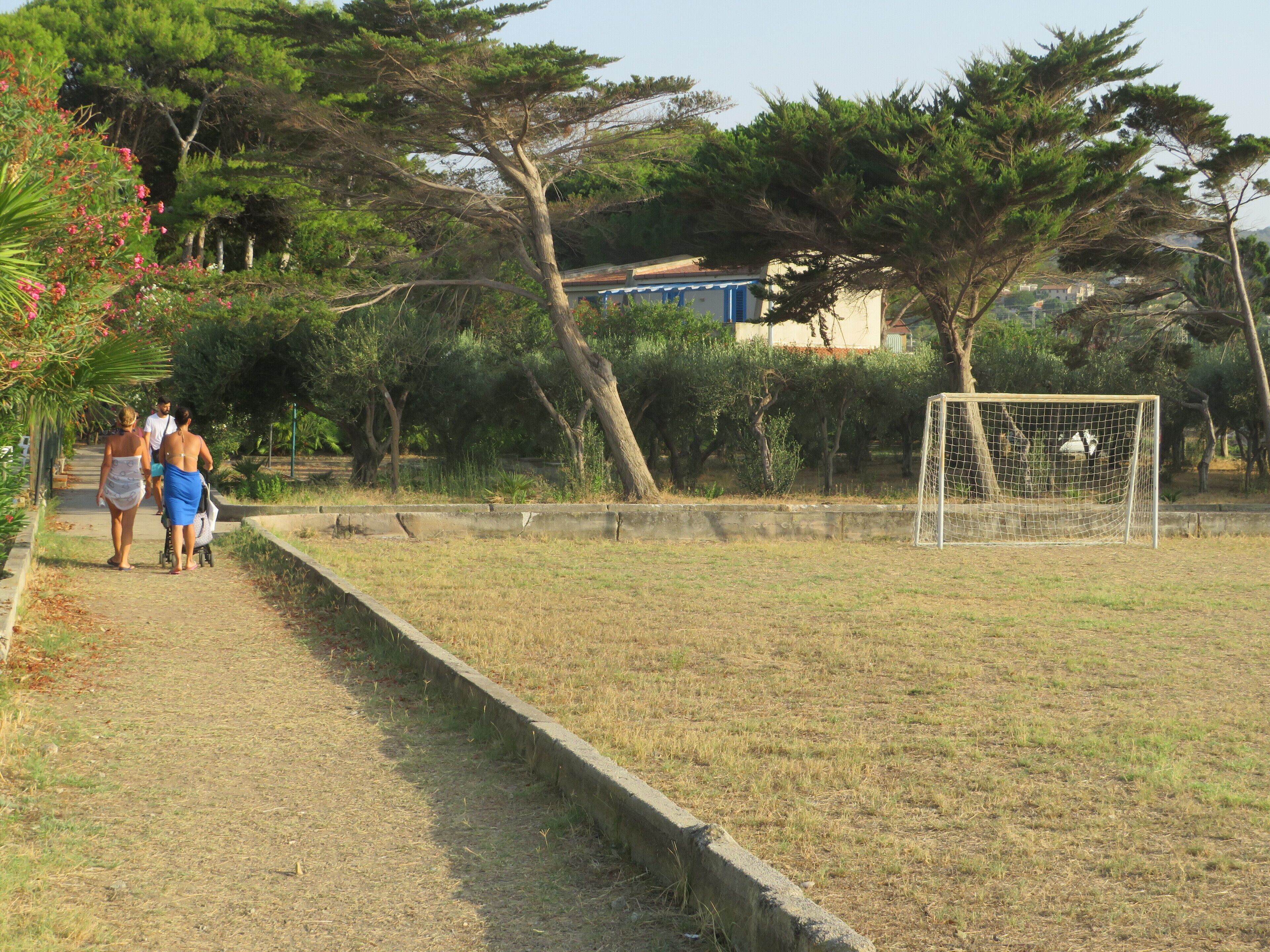 Un camp de gespa amb una porteria de futbol, arbres i un edifici al fons.