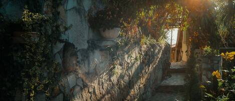 Un chemin de pierres qui traverse un jardin luxuriant, agrémenté de plantes en pot et bordé d’un mur rustique.