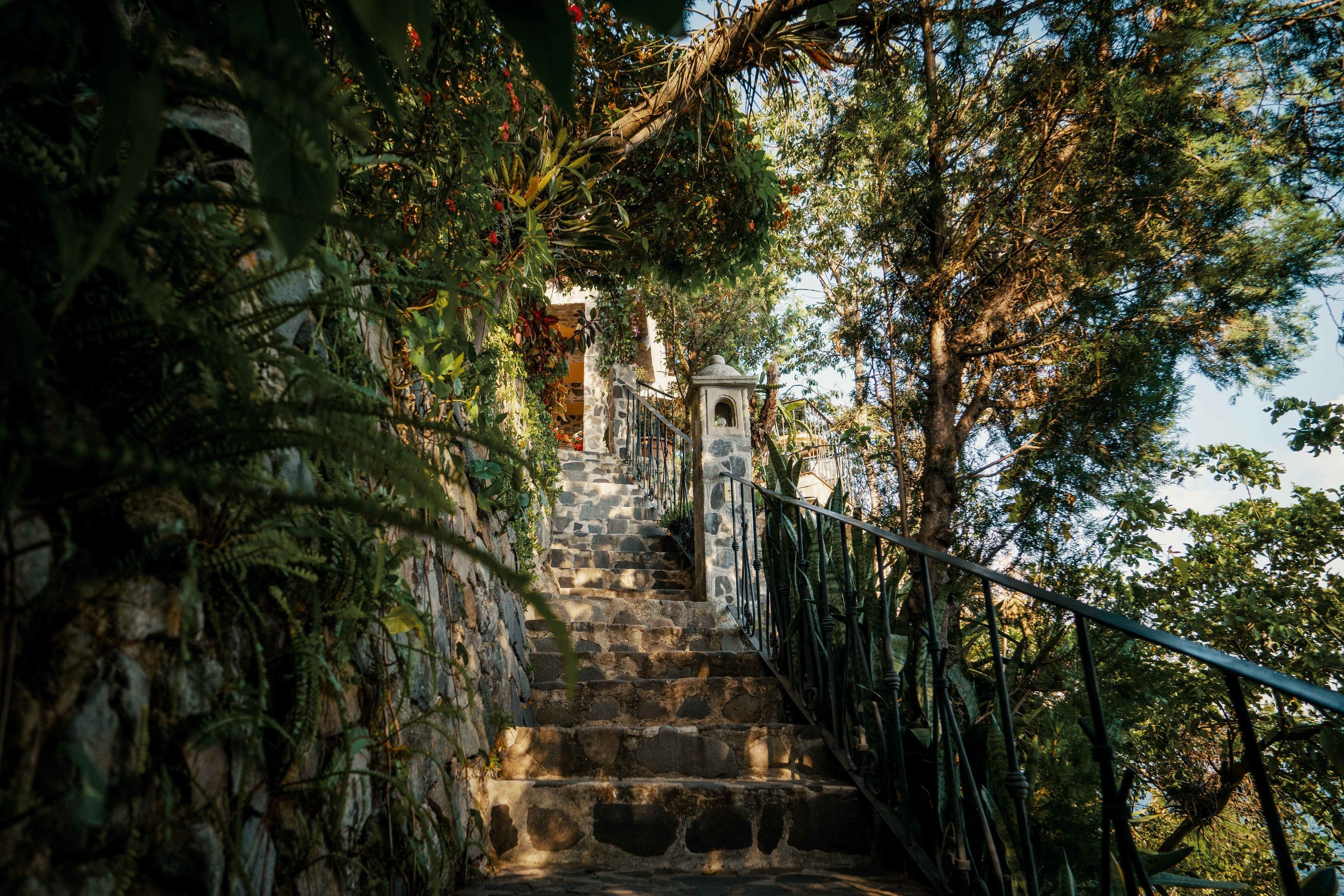 A stone staircase with a metal railing, surrounded by lush greenery and trees.