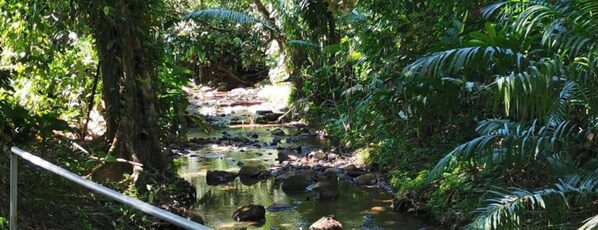 Property grounds - Cabinas Los Laureles (Bahía Ballena)