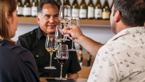 Un grupo de personas brindando con copas de vino en un bar, con una estantería llena de botellas de vino al fondo.