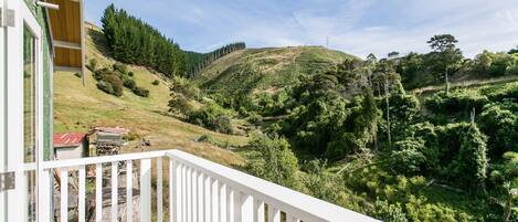 Ein Balkon mit weißer Brüstung, der auf eine üppige, grüne Landschaft mit Hügeln und Bäumen blickt.