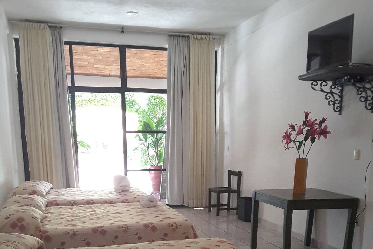 Une chambre d’hôtel avec deux lits, une petite table, une chaise, une plante en pot et un téléviseur fixé au mur.