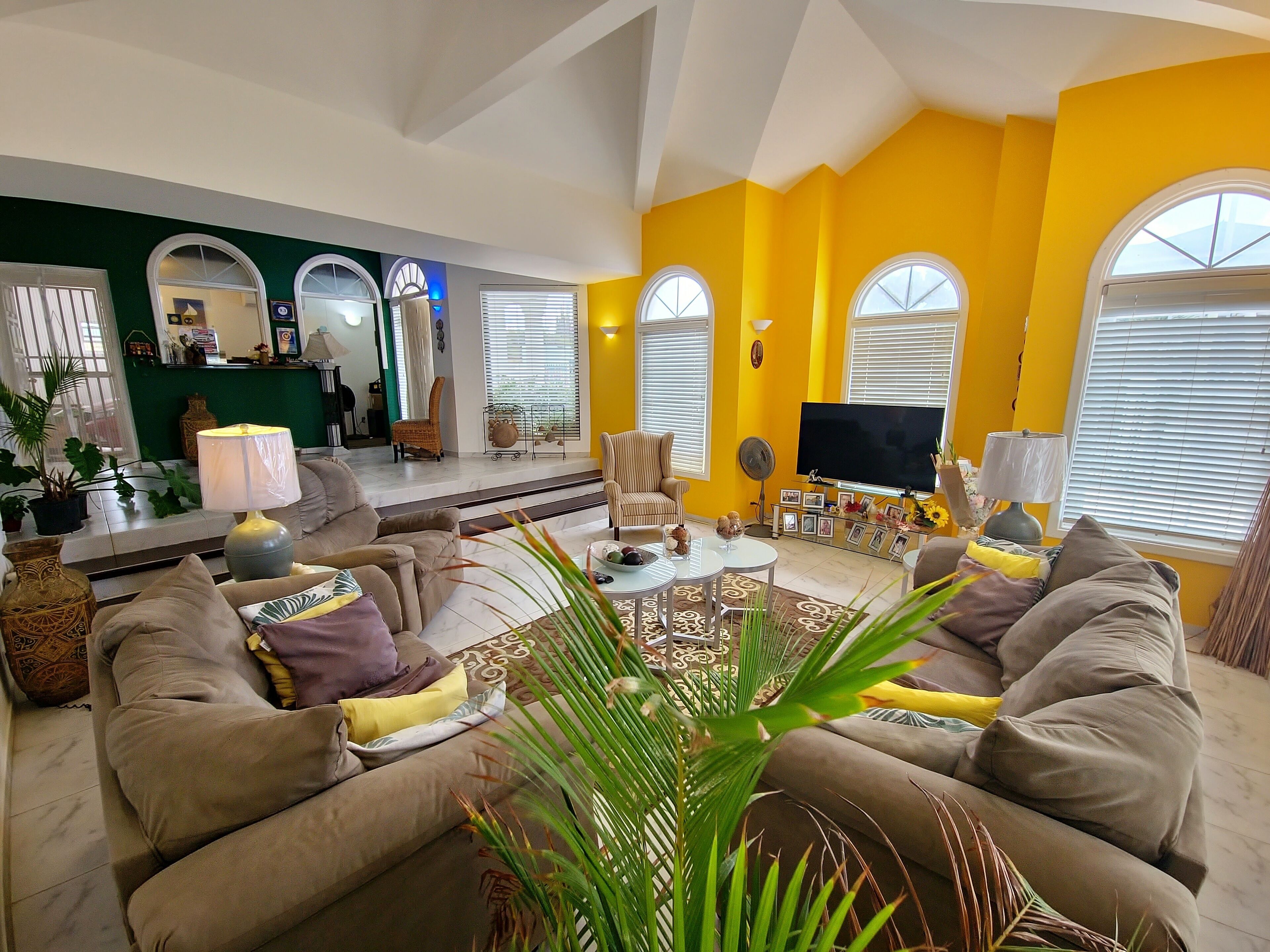 Plasma TV, fireplace, DVD player