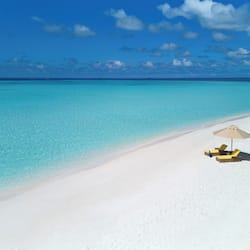 Plage privée, serviettes de plage, snorkeling, canoë