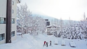 Un barrio residencial con árboles cubiertos de nieve y coches aparcados.
