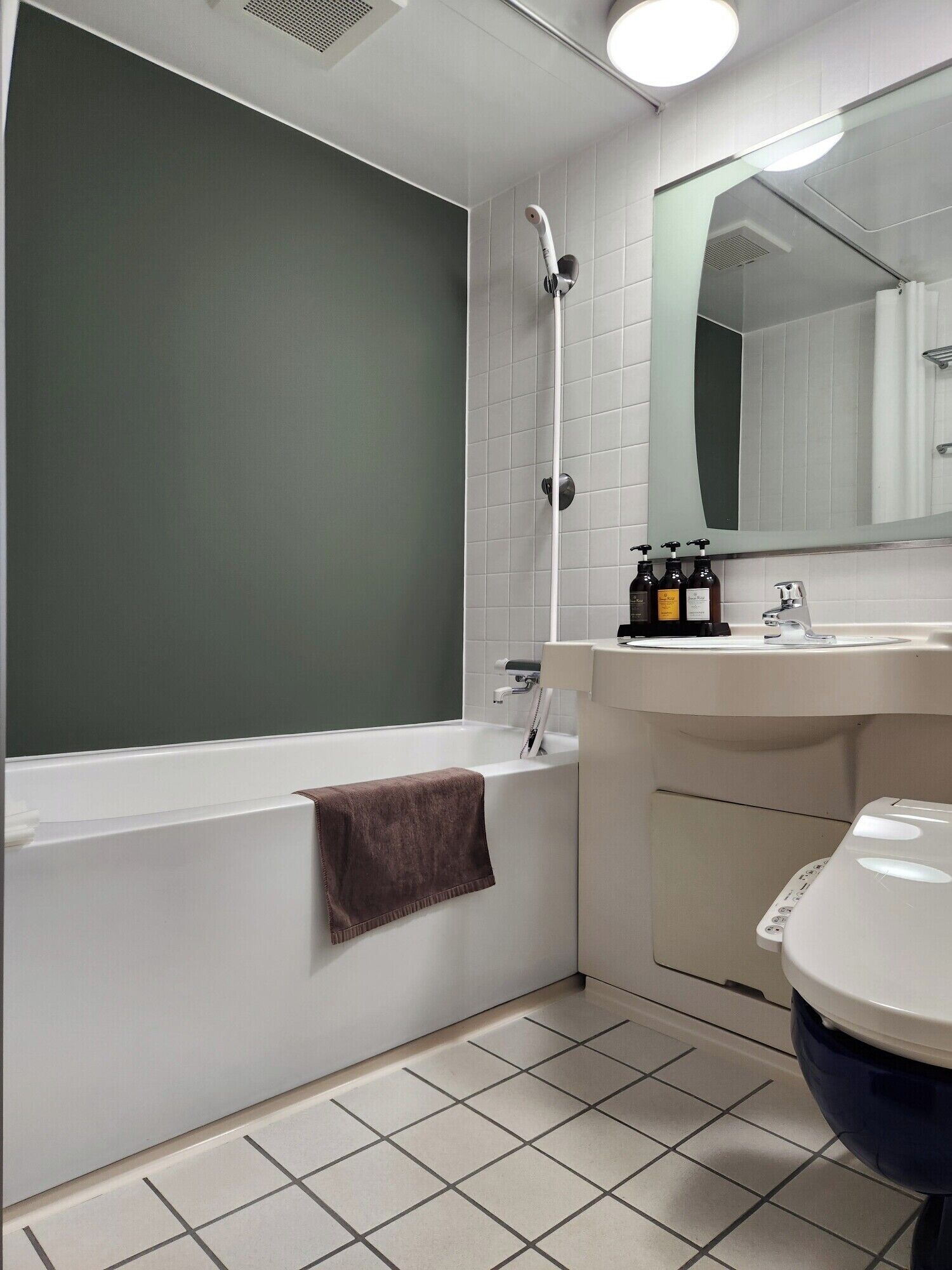 combined shower/bathtub, free toiletries, hair dryer, slippers