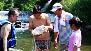 A group of people standing in shallow water near a waterfall, surrounded by lush greenery.