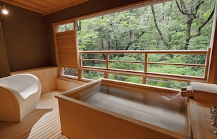 Bañera con aguas termales, artículos de tocador gratuitos