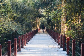A pedestrian bridge with a metal railing and a pathway surrounded by trees. - Elysium Suite (Siem Reap)