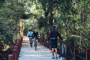 Bicycling