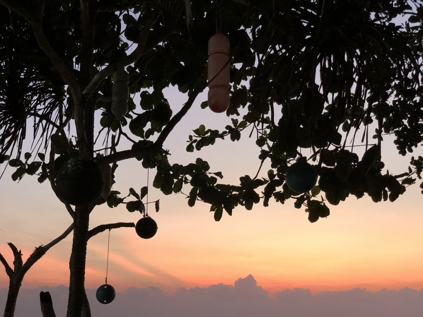 A tree with hanging ornaments against a sunset sky.