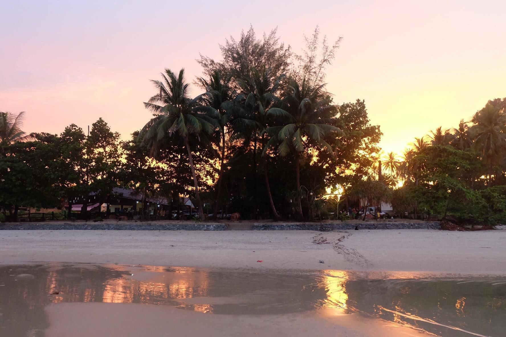 A beach scene with palm trees and a sunset.