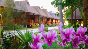 A row of traditional-style buildings with thatched roofs, surrounded by lush greenery and purple orchids. - Baanchaylay Resort (Khanom)