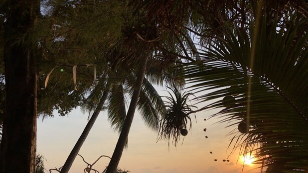 A beach scene with palm trees and the ocean at sunset. - Baanchaylay Resort (Khanom)