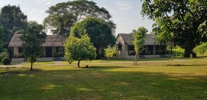 A rural setting with thatched-roof cottages, surrounded by lush greenery and trees.