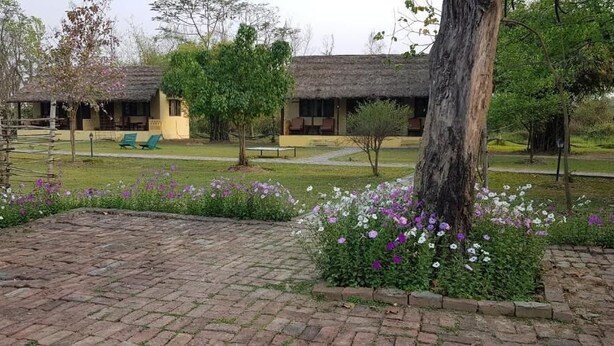 Una cabaña rústica con cabañas de techo de paja, un patio empedrado y un jardín con flores moradas y blancas.