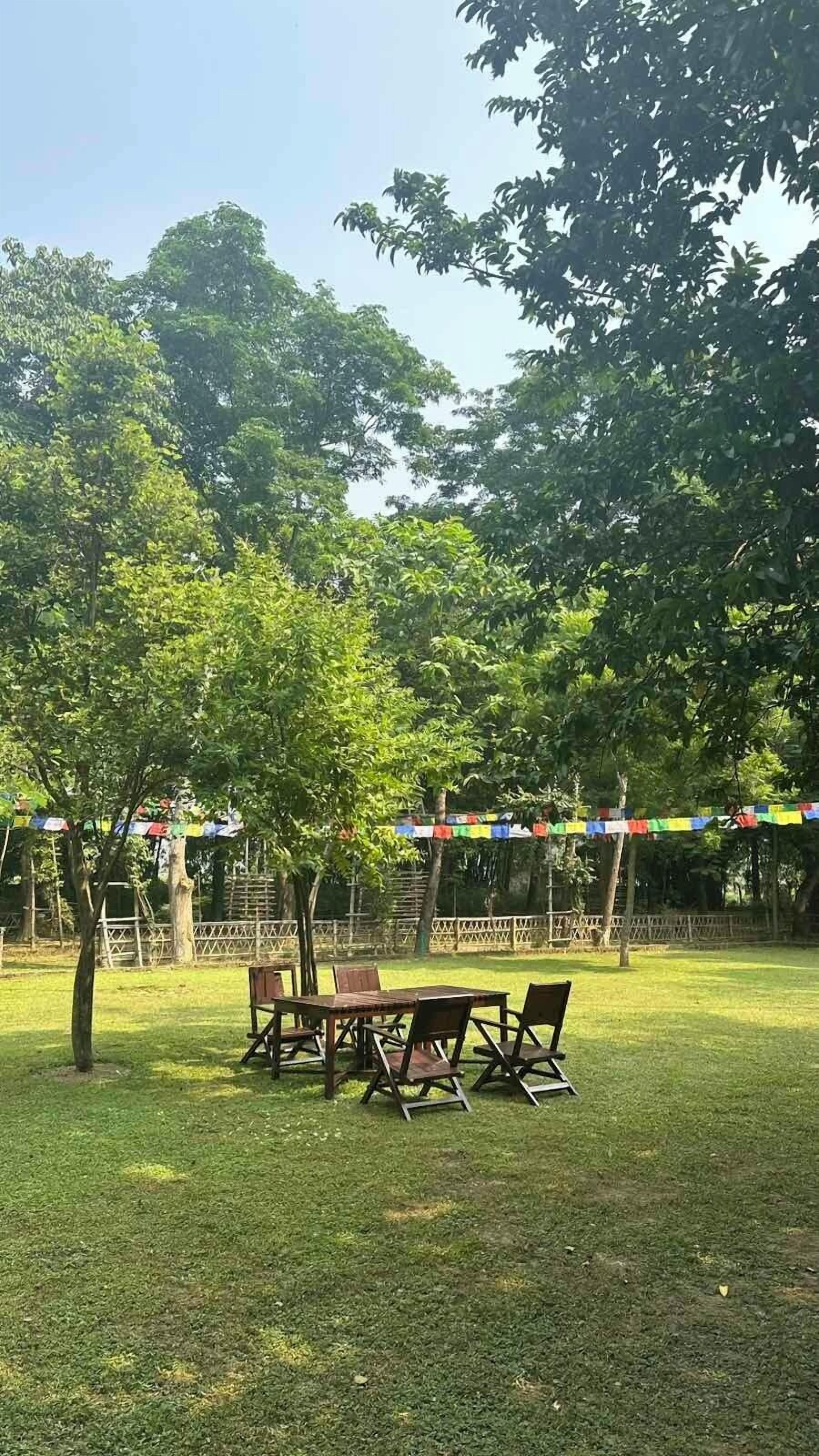 Un espace extérieur verdoyant, avec une table et des chaises en bois, entouré d’arbres et d’une clôture.